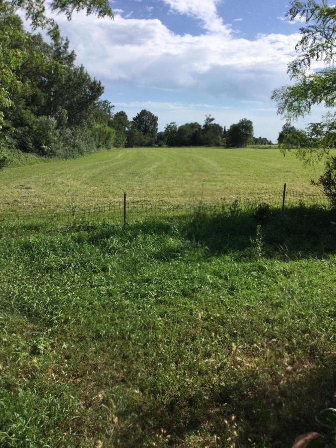Appartement Dans Un Mas Provencal إستريس المظهر الخارجي الصورة
